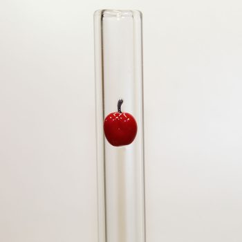 Apple Accent Glass Straw with Cleaning Brush